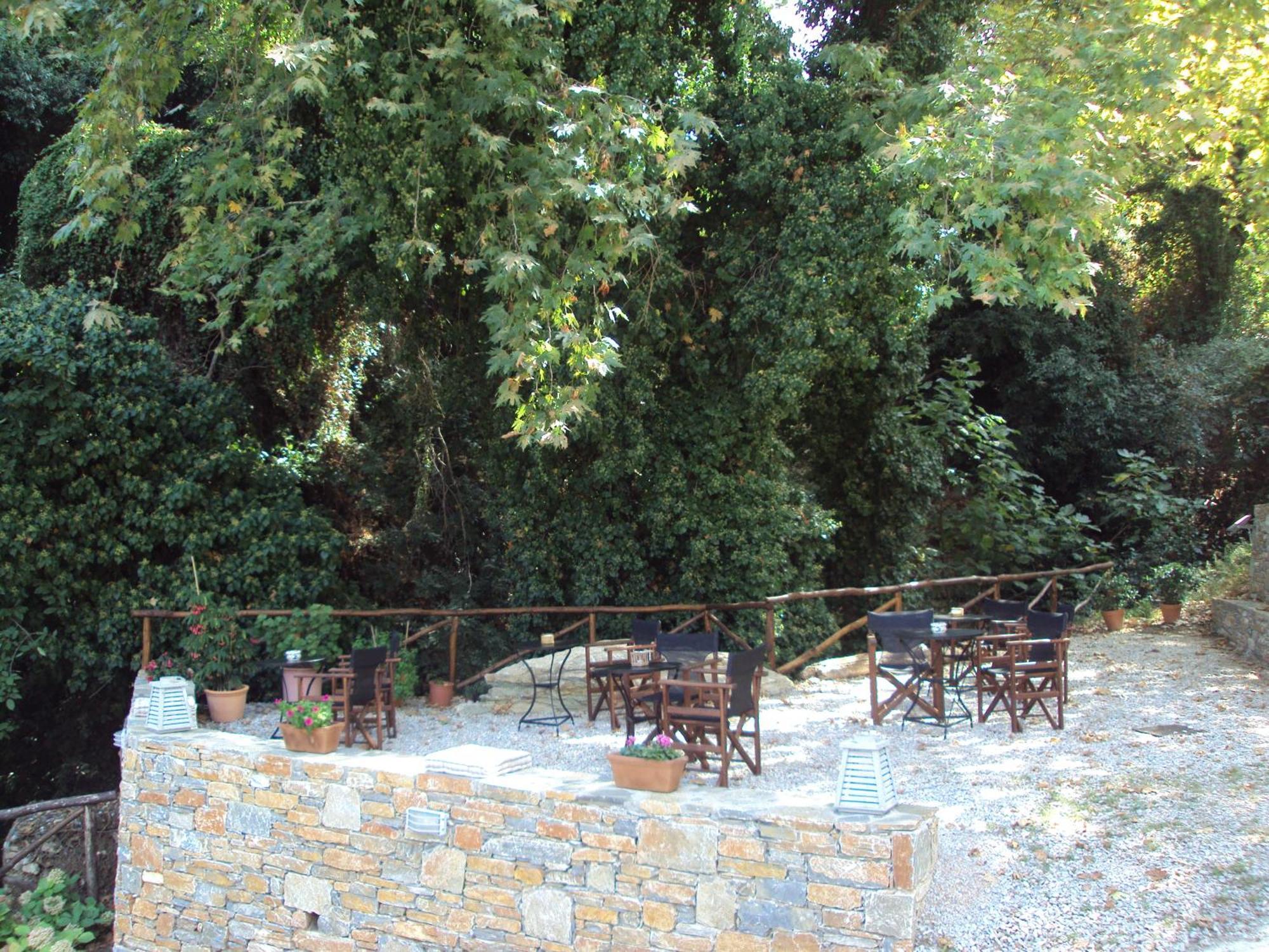 Vergopoulos Oliveyard Mourésion Kültér fotó